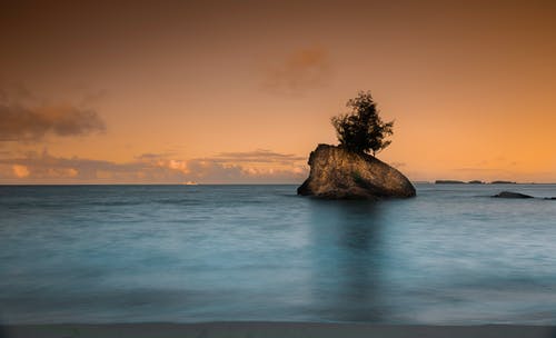 布朗岩石与树在海洋中间 · 免费素材图片