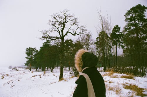 冬季面对树木的人 · 免费素材图片