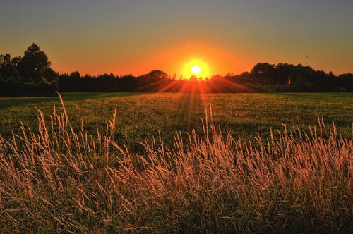日落期间的棕色和绿草田 · 免费素材图片