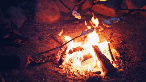 在篝火上烧烤 · 免费素材图片