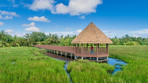 布朗凉亭附近绿叶植物 · 免费素材图片