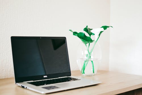 银色和黑色戴尔笔记本电脑旁边棕色木制的桌子上的透明玻璃花瓶中的白色马蹄莲 · 免费素材图片