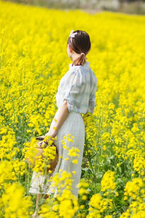 女人站在花田 · 免费素材图片