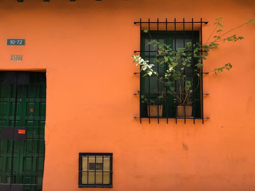 黑钢窗户栏与绿色的植物 · 免费素材图片