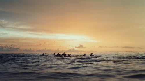 人们在日落时在海洋上游泳 · 免费素材图片