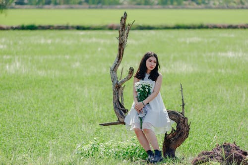 女人抱着束白花，坐在漂移木 · 免费素材图片