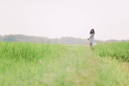 在绿草地上穿白裙子的女人 · 免费素材图片