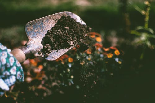 使用花园铲在土壤上挖的人 · 免费素材图片