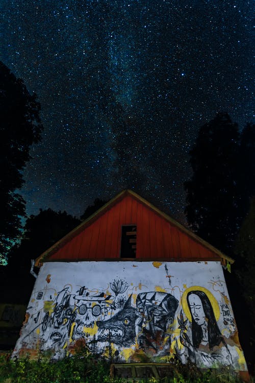 树木旁的棕色和白色棚子 · 免费素材图片