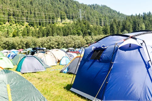 帐篷被树木包围 · 免费素材图片