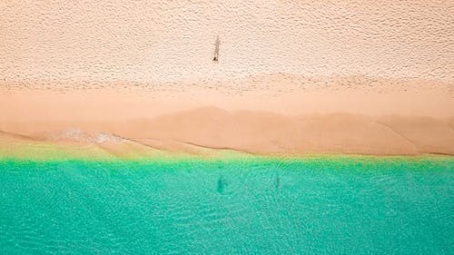 站在海滩的人的身影 · 免费素材图片