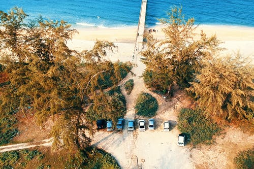 七叶树下大洋航空摄影附近的绿叶树下 · 免费素材图片
