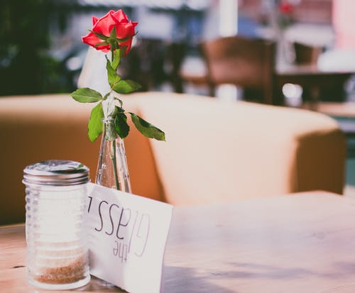 红玫瑰的选择性聚焦摄影 · 免费素材图片