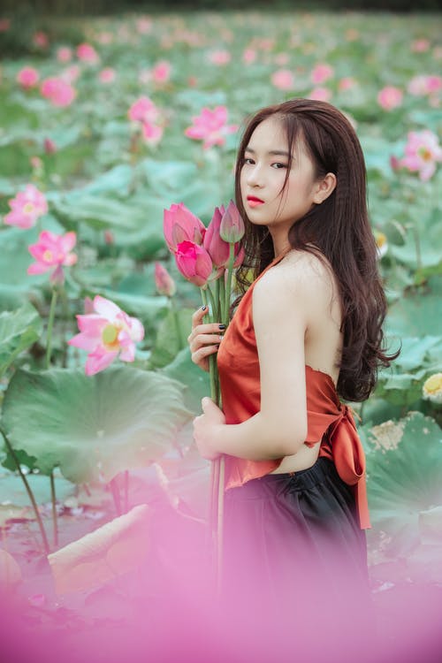 女人手捧花 · 免费素材图片