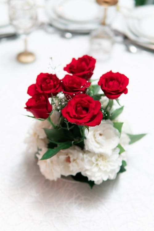 白色表面上的花瓶中的红色和白色的玫瑰花朵 · 免费素材图片