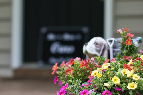 显示黄色和紫色花的人 · 免费素材图片