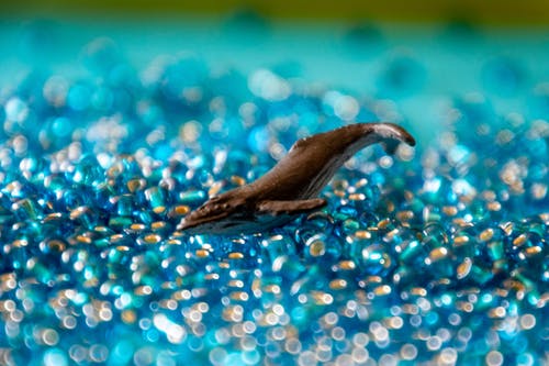 棕色海豚雕像 · 免费素材图片