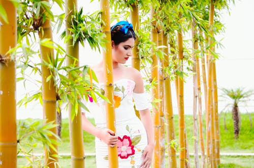 白色礼服的妇女 · 免费素材图片