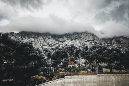 树木和山脉的空中摄影 · 免费素材图片