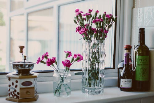 靠近窗户旁边的瓶子的盆栽粉红色花瓣花 · 免费素材图片