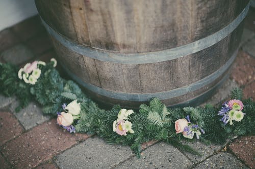 粉红色和白色的花瓣花赃物旁边棕色木桶 · 免费素材图片