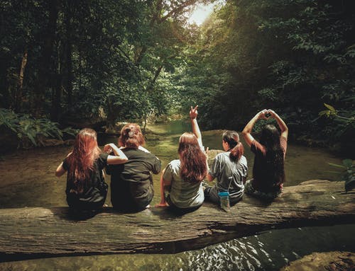 五名妇女坐在树干上 · 免费素材图片