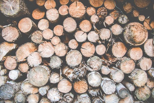 一堆原木的照片 · 免费素材图片