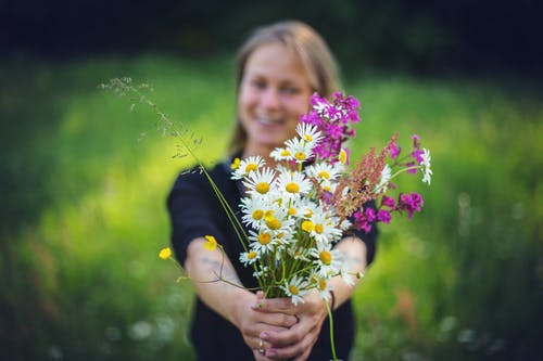 女人手捧花的摄影 · 免费素材图片