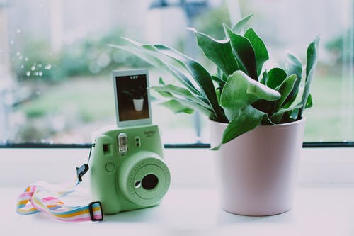 绿色即时相机 · 免费素材图片