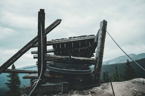 棕色木桩在土壤上 · 免费素材图片