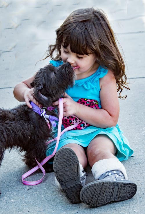小女孩旁边的黑狗 · 免费素材图片
