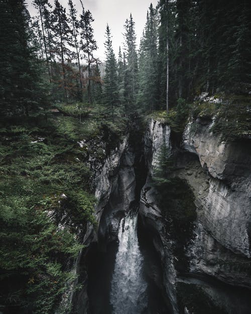 森林之间的瀑布 · 免费素材图片