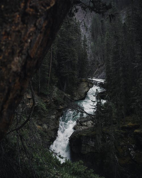 树木包围的瀑布的延时摄影 · 免费素材图片