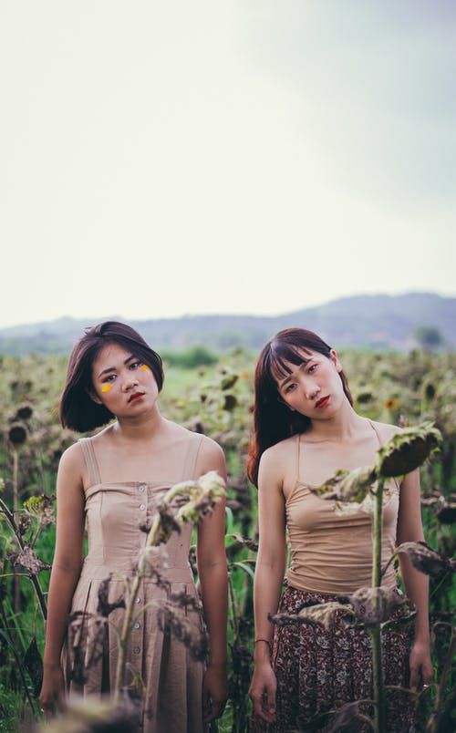 两名妇女站在向日葵田的特写照片 · 免费素材图片