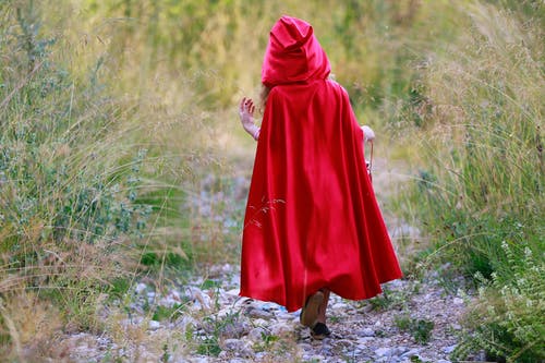 在草之间的小径上行走的红帽的女孩 · 免费素材图片