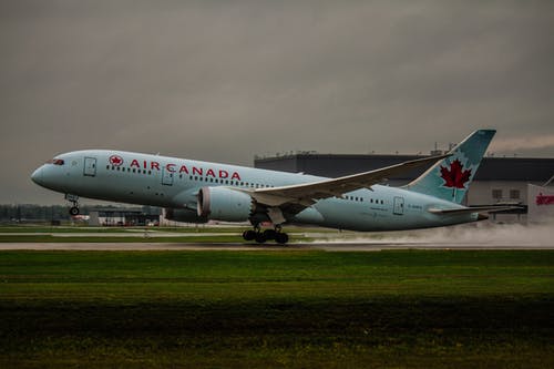加拿大白色飞机在绿草上 · 免费素材图片