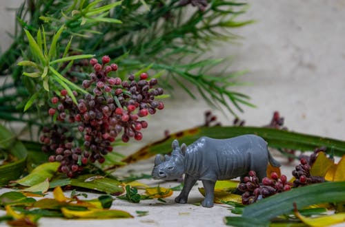 犀牛雕像 · 免费素材图片