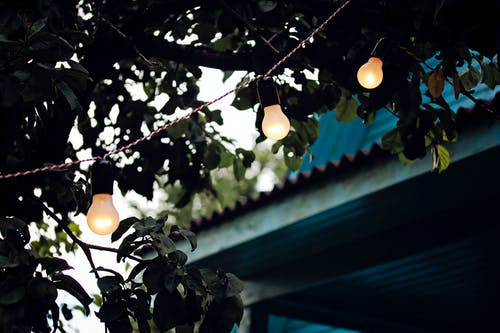树上的灯串的浅焦点摄影 · 免费素材图片
