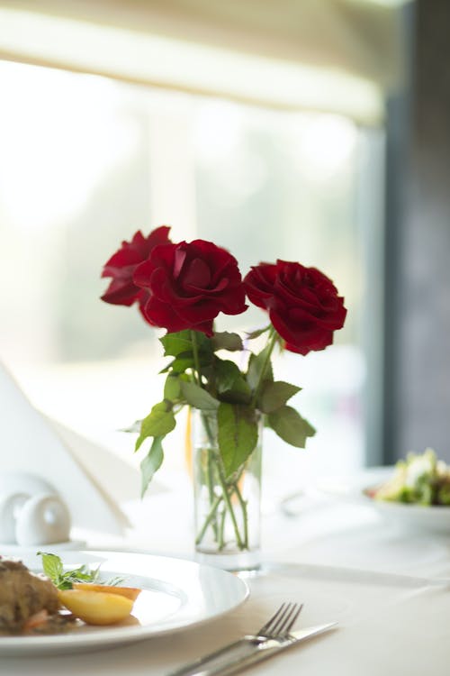 玻璃花瓶上的红玫瑰 · 免费素材图片