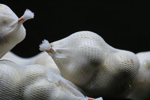 水果袋在黑暗区域内 · 免费素材图片