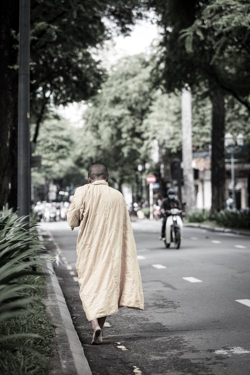 和尚在蕨类植物旁边的道路上行走 · 免费素材图片