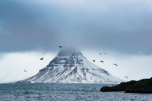 空中的鸟儿在被水包围的积雪山附近 · 免费素材图片