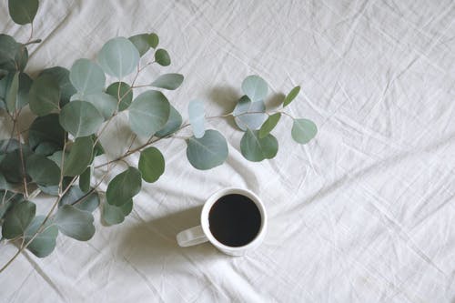 绿叶植物旁边的白色杯子的平躺摄影 · 免费素材图片