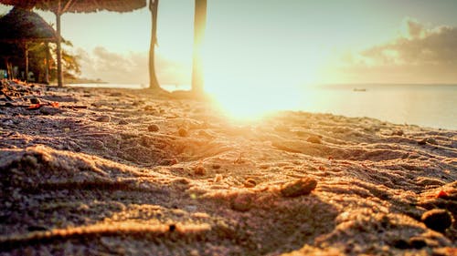 沙浅焦点照片 · 免费素材图片