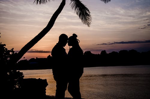 两人在日落时在树附近拥抱 · 免费素材图片