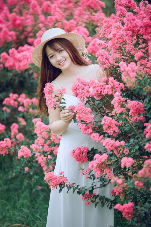 粉红色的花朵背后的女人 · 免费素材图片