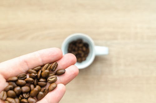 左手咖啡豆 · 免费素材图片