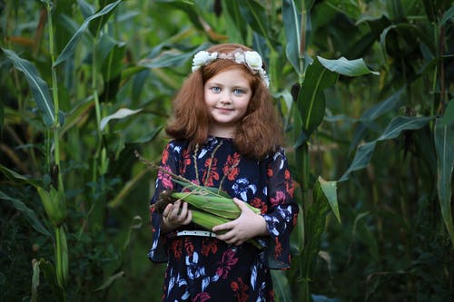 站在玉米地里拿着玉米的女孩 · 免费素材图片
