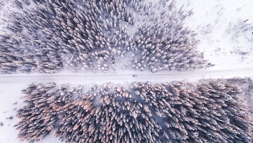 公路和森林的航拍照片 · 免费素材图片