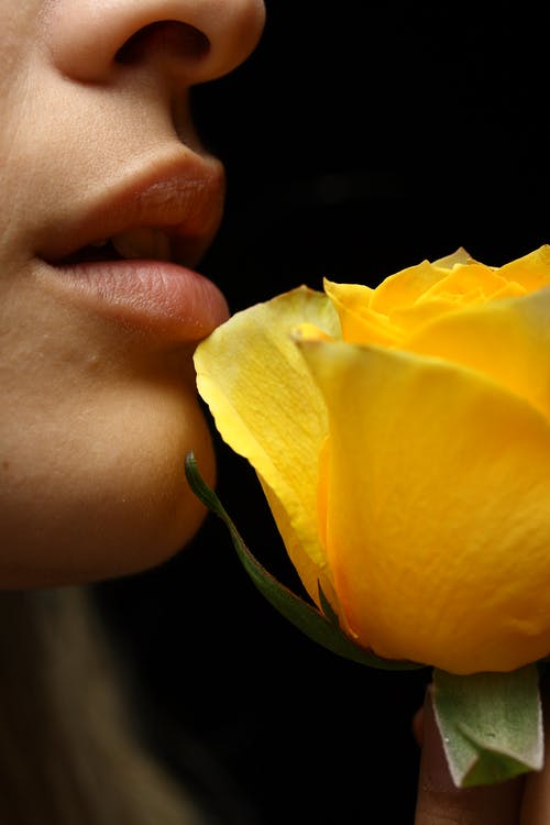 女人闻到黄玫瑰花的选择性聚焦摄影 · 免费素材图片